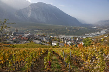 Wallis - das gelobte Land des Weins